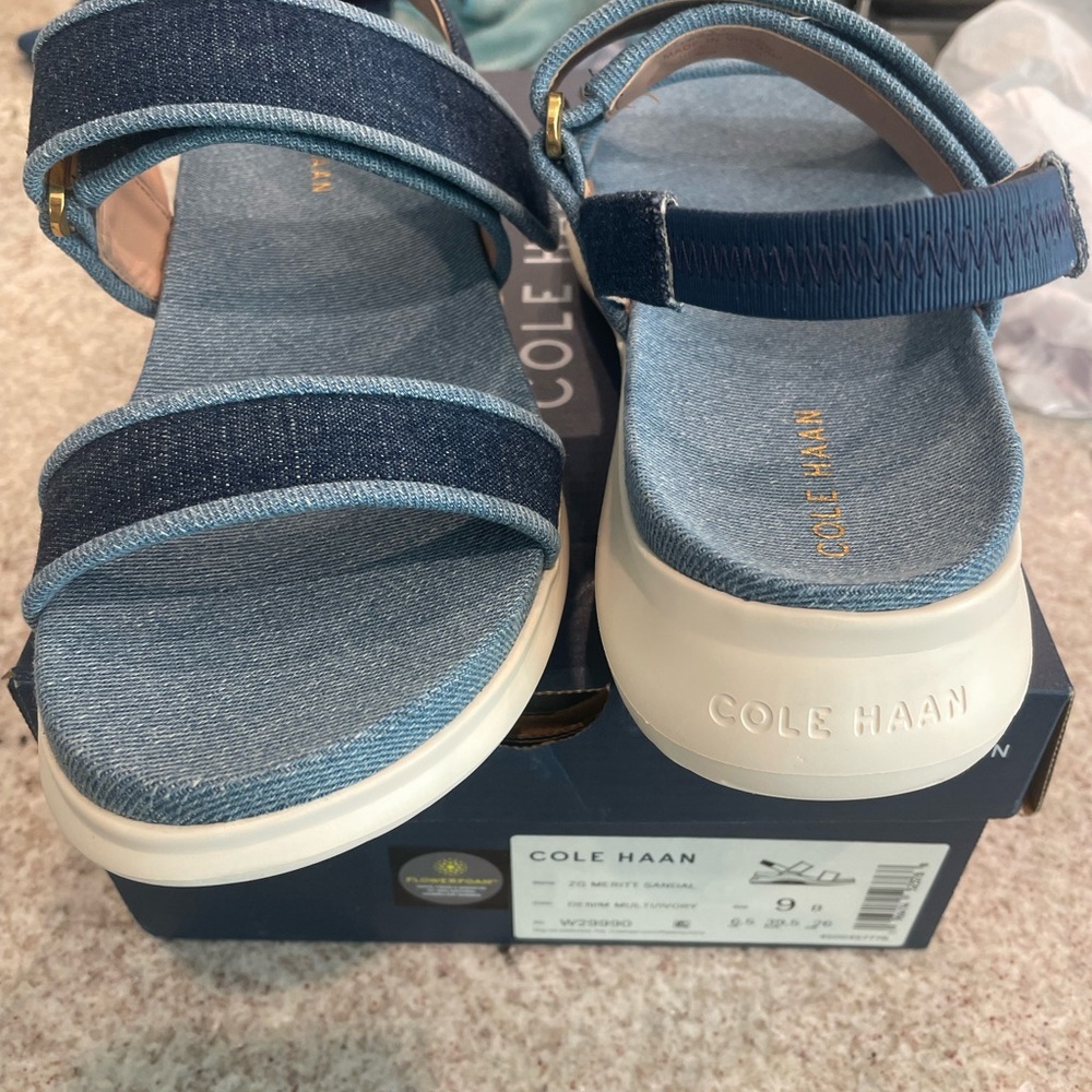 Cole Haan Blue Sandals